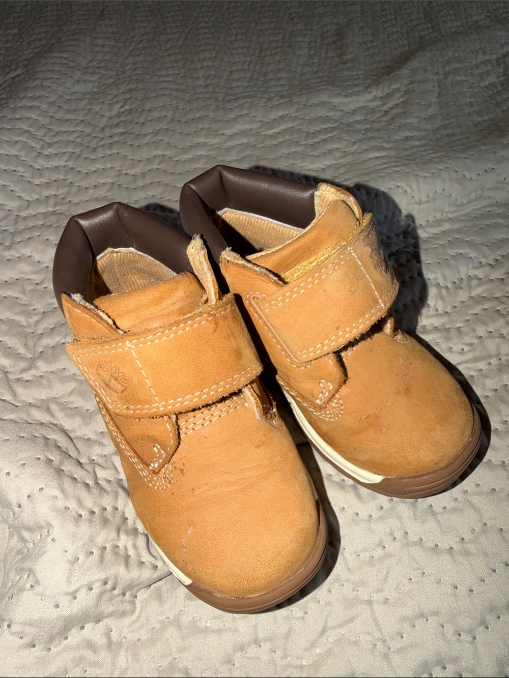 Timberland Tykes Toddler Boy Boots